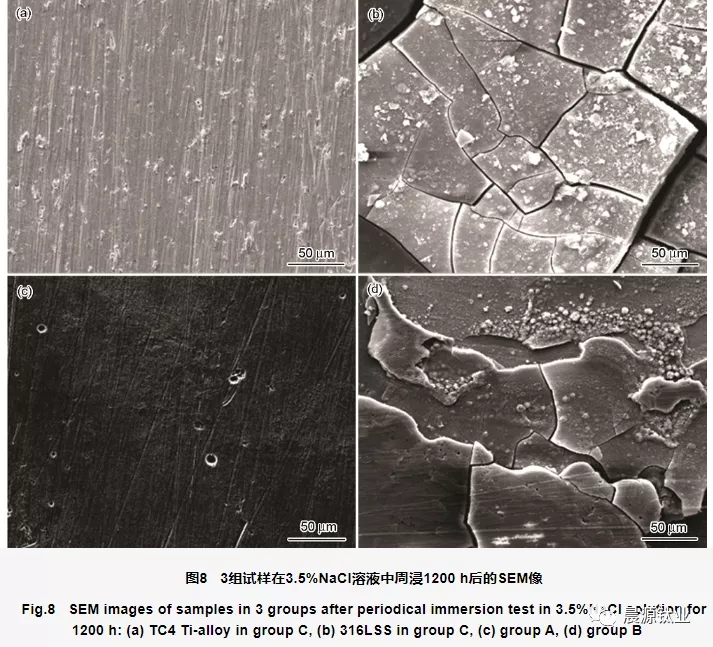 周浸腐蝕實驗后不同組試樣表面形貌的SEM像 周浸腐蝕實驗后不同組試樣表面形貌的SEM像