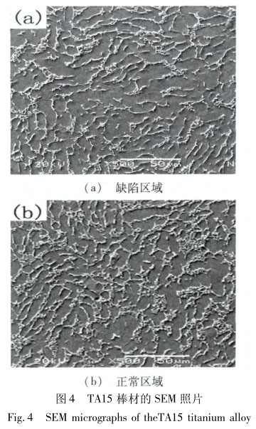TA15棒材的SEM照片 TA15棒材的SEM照片