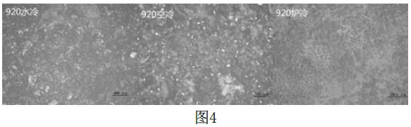 1670414648179935.jpg t4.jpg