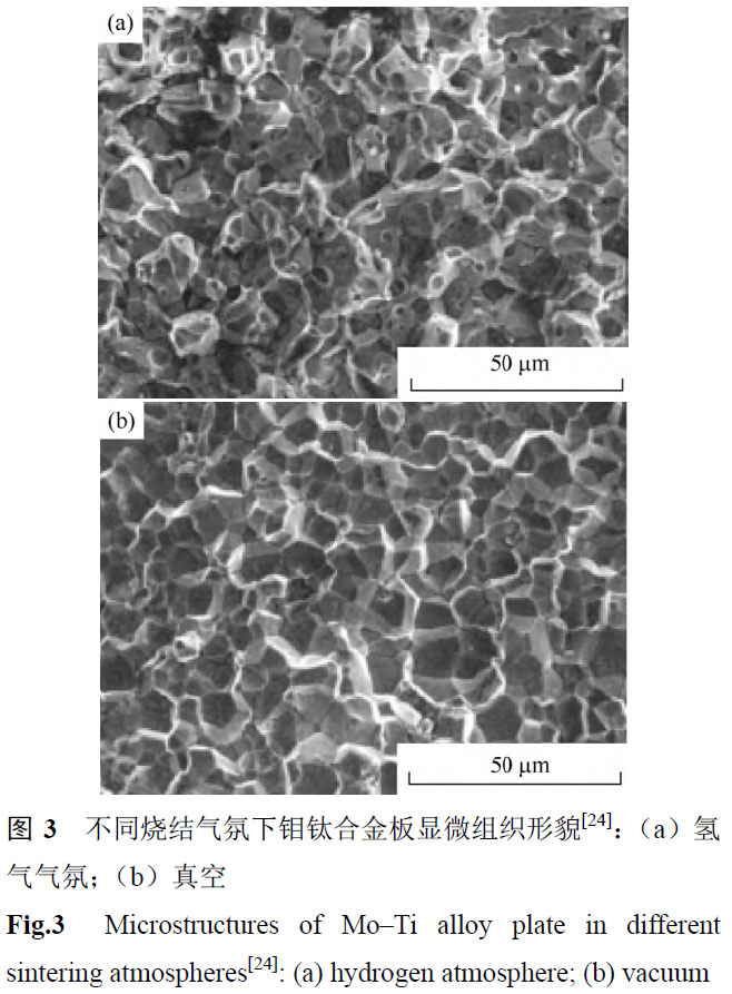 1676087830136073.jpg mt3.jpg