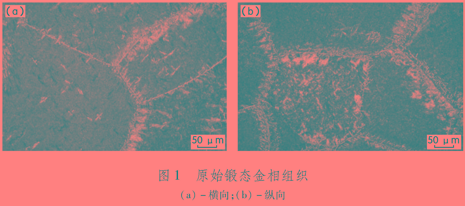 1681547820434182.jpg t1.jpg