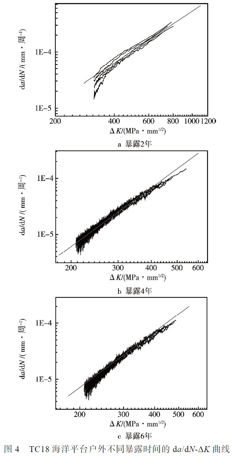 1683459423694828.jpg t4.jpg