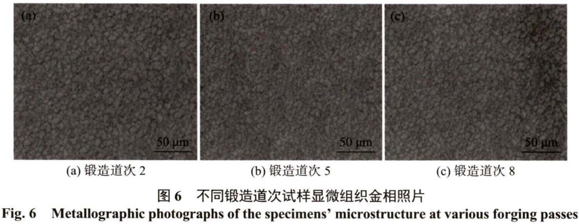 1686300756608738.jpg t6.jpg