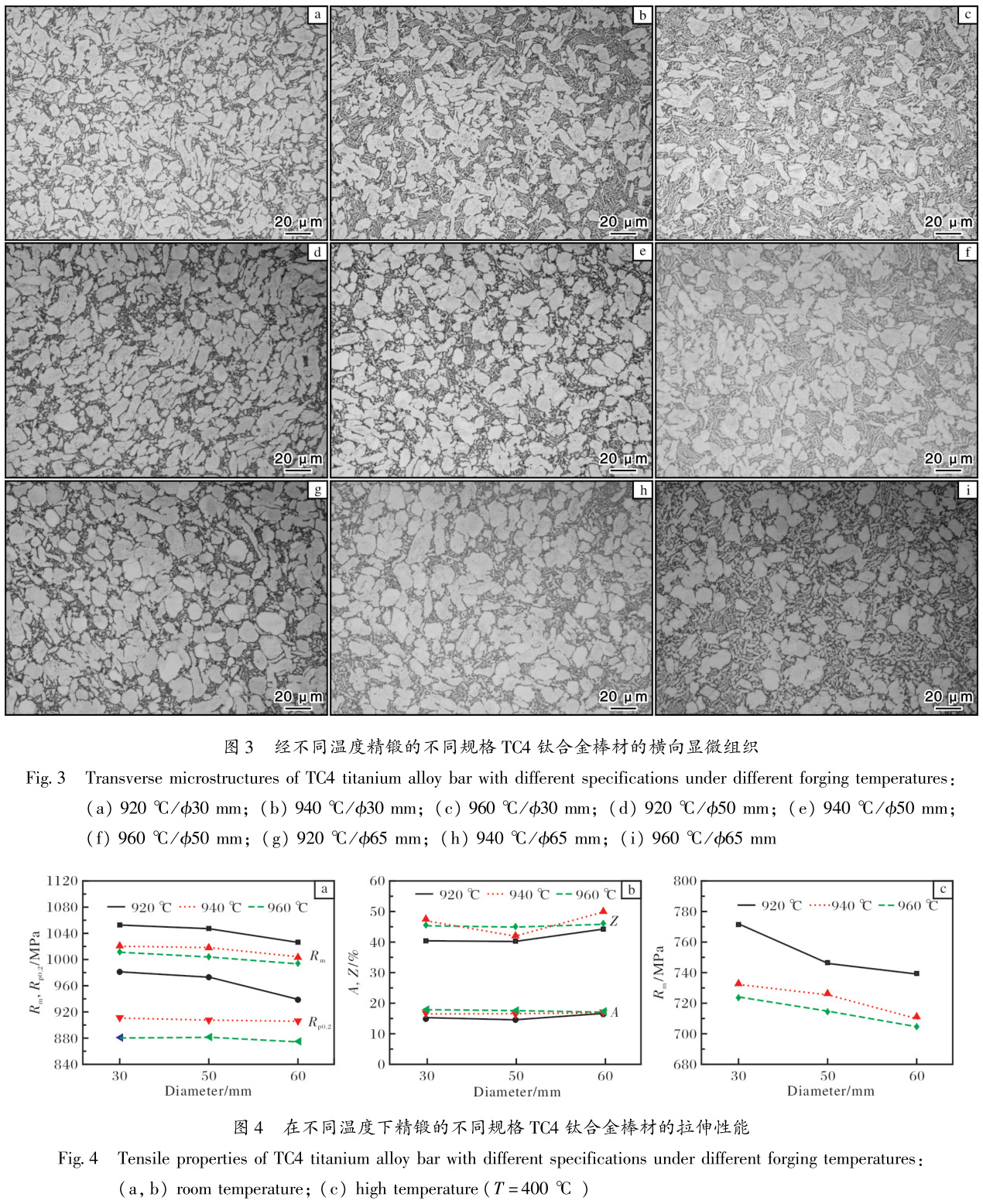 1686563043244263.jpg t3-4.jpg