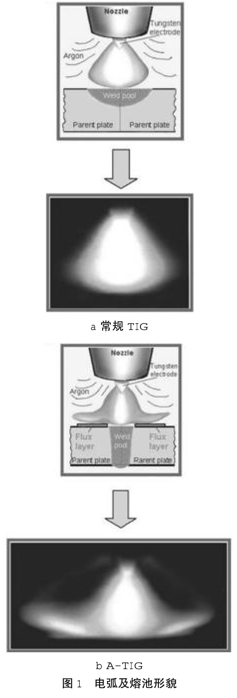 1686713934603616.jpg t1.jpg