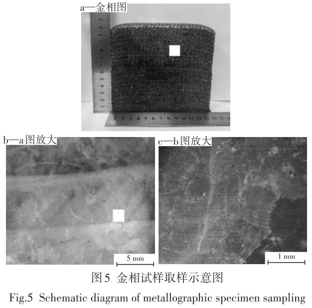 1694436830481669.jpg t5.jpg