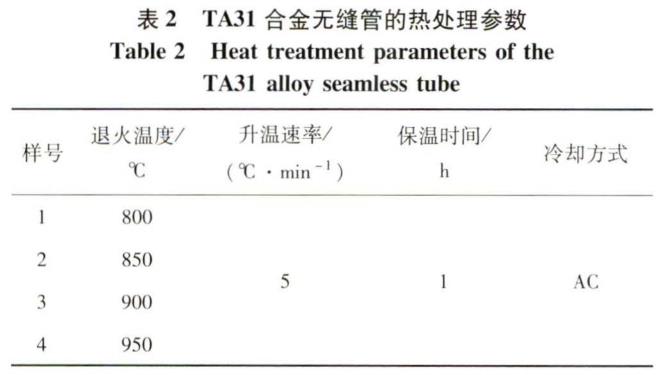 1695806515167643.jpg b2.jpg