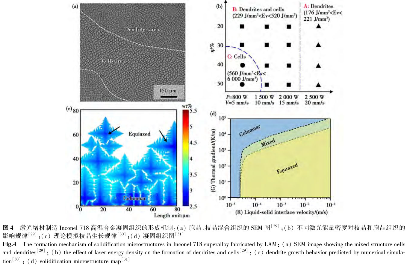 1699451430614922.jpg t4.jpg