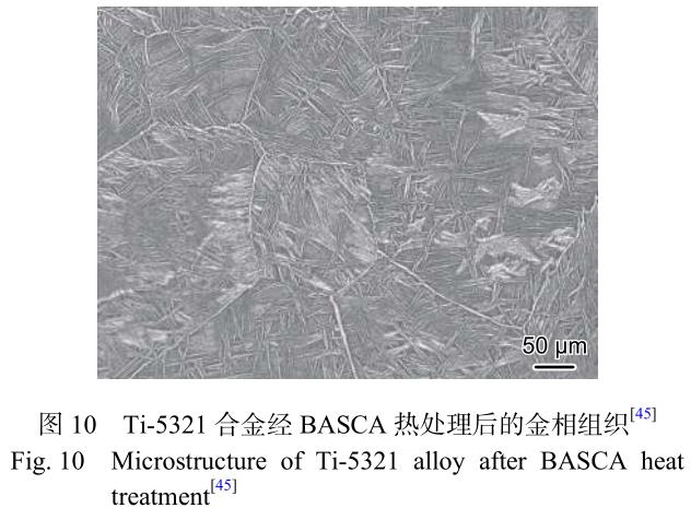 1699618290201169.jpg t10.jpg