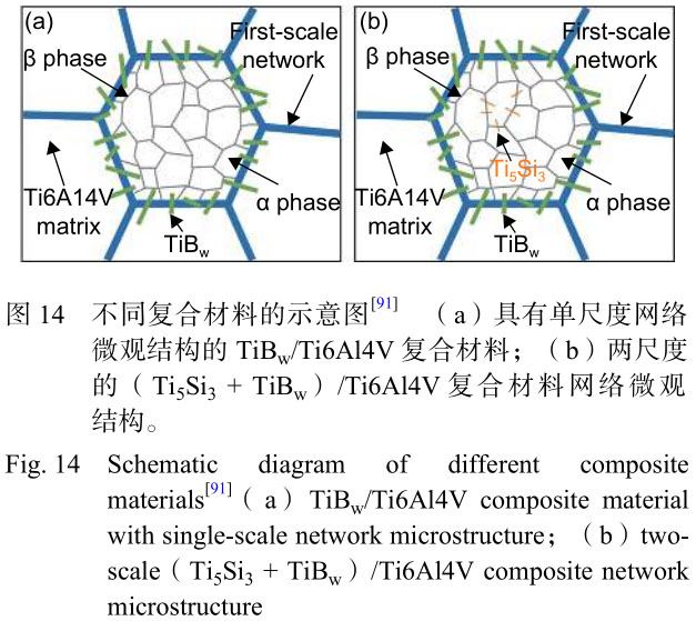 1699618441405857.jpg t14.jpg