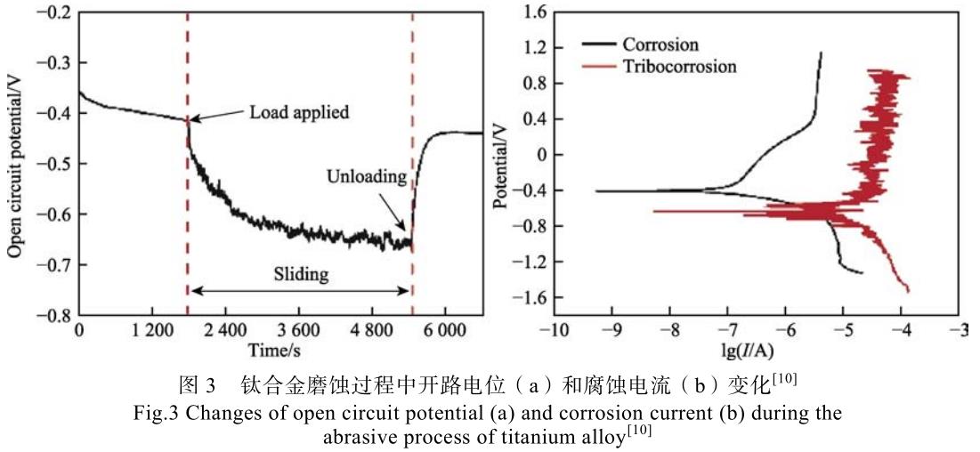 1700445507714524.jpg t3.jpg