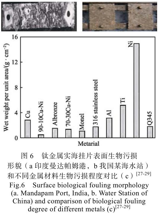 1700445532862300.jpg t6.jpg