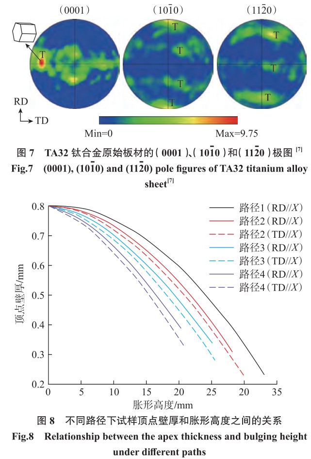 1700707187392345.jpg t7-8.jpg