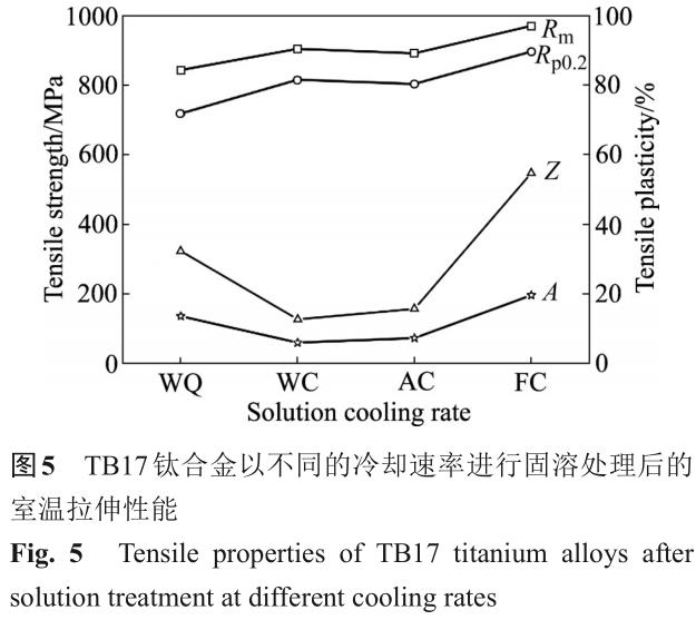 1701442238448393.jpg t5.jpg