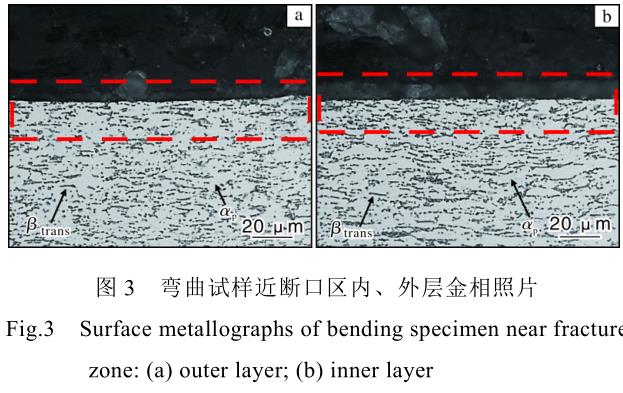 1704703147159611.jpg t3.jpg