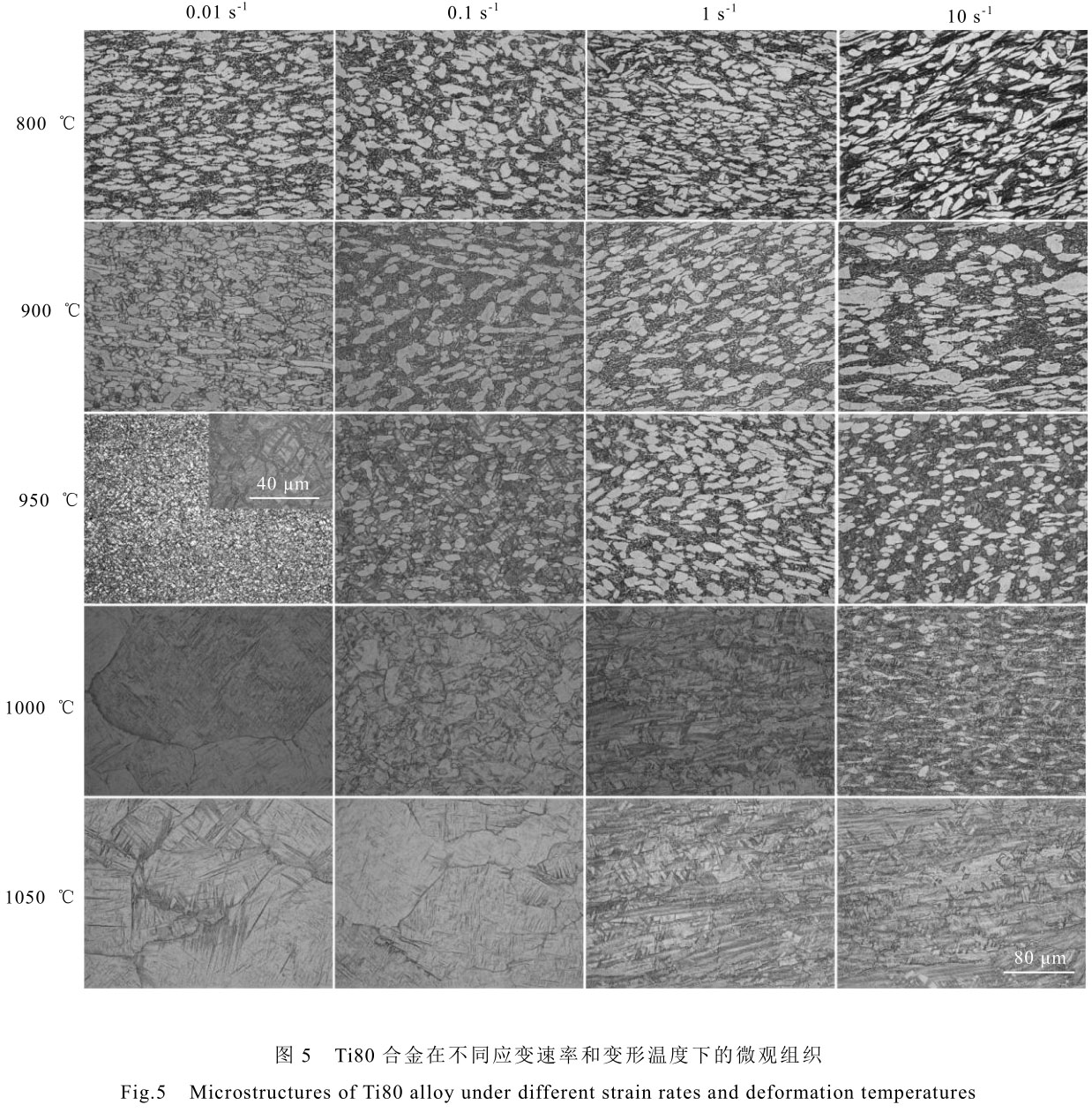 1708442290884807.jpg t5.jpg