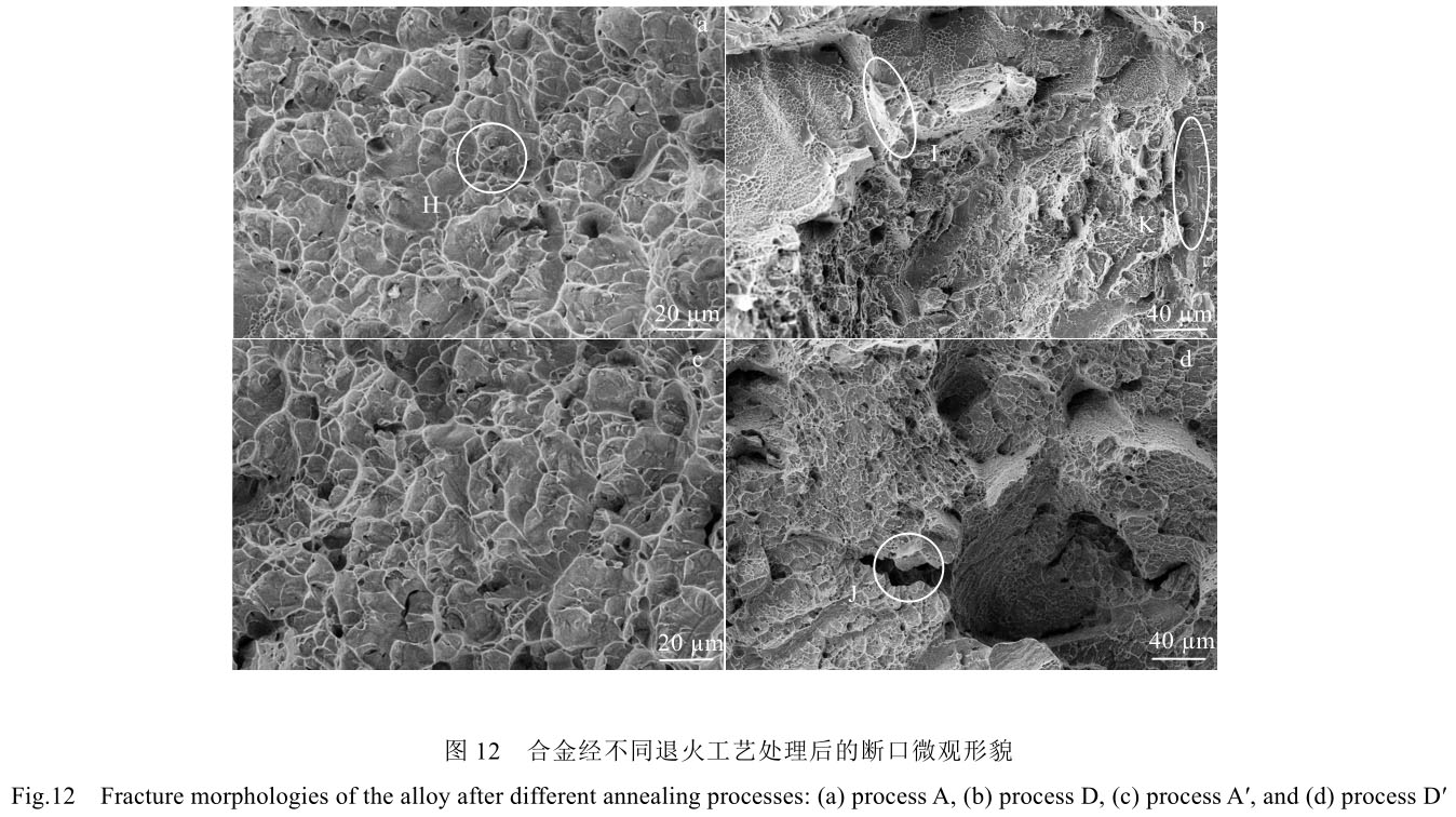 1708444218612702.jpg t12.jpg