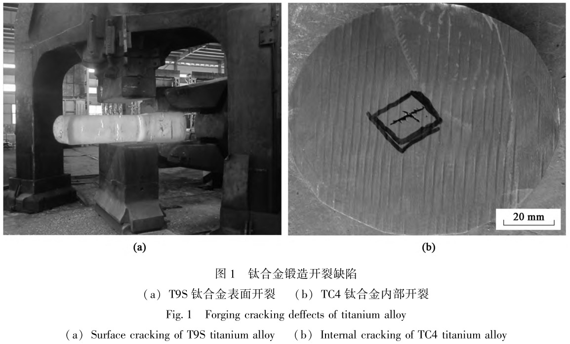 1712454510796989.jpg t1.jpg