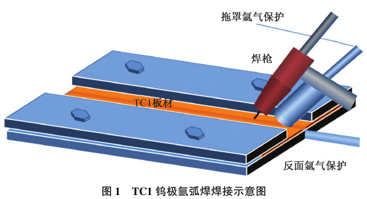 1712456246904361.jpg t1.jpg