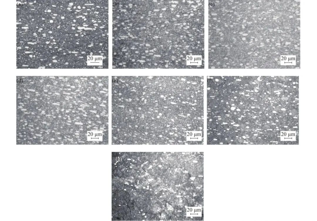 1712887982416697.jpg t1.jpg