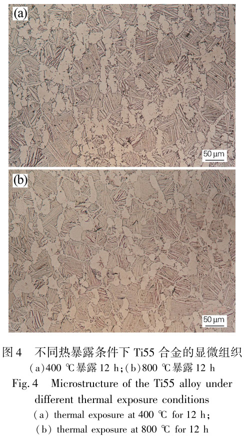 1713441102571078.jpg 未標題-4.jpg