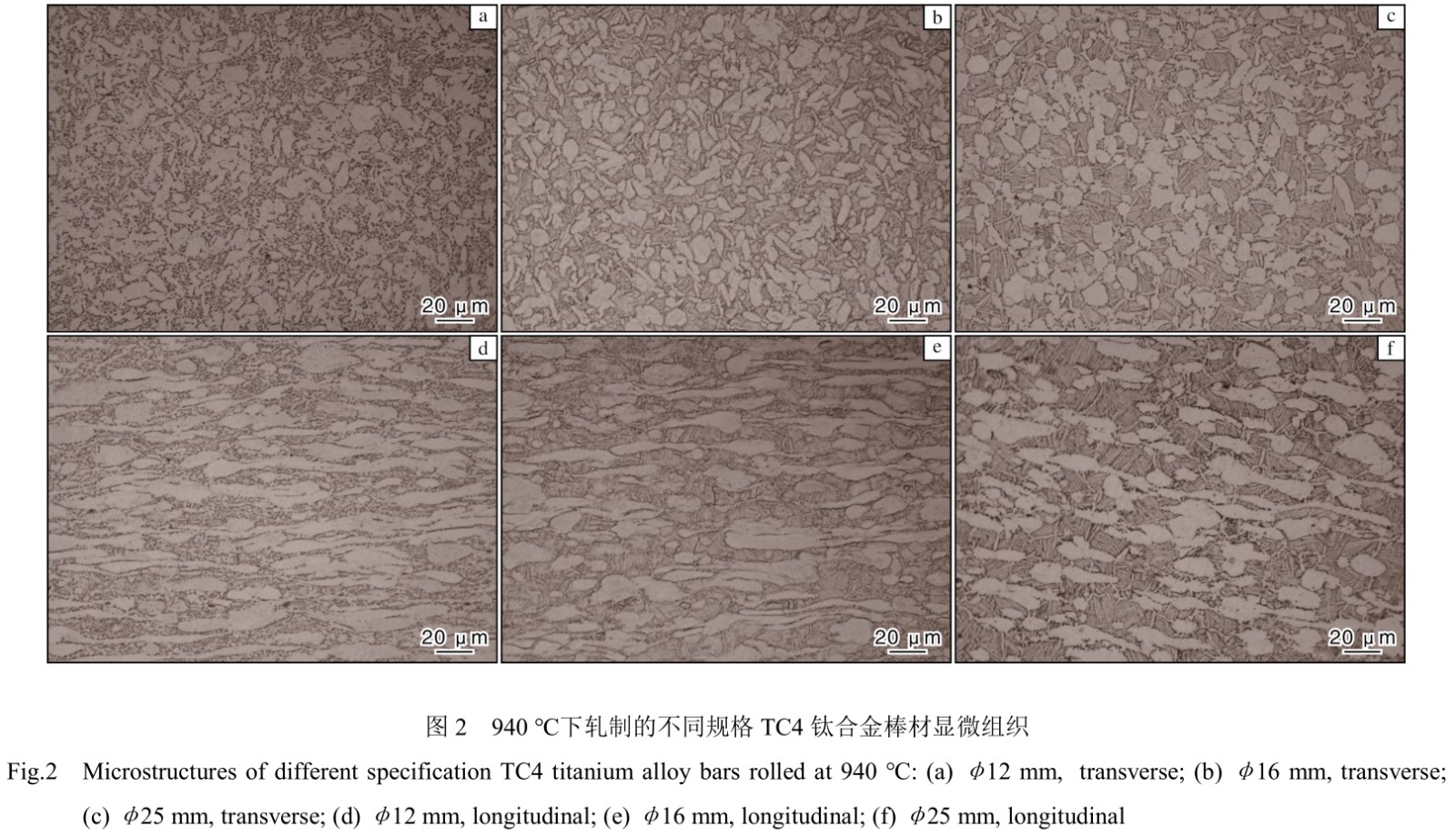 1713948854455187.jpg t2.jpg