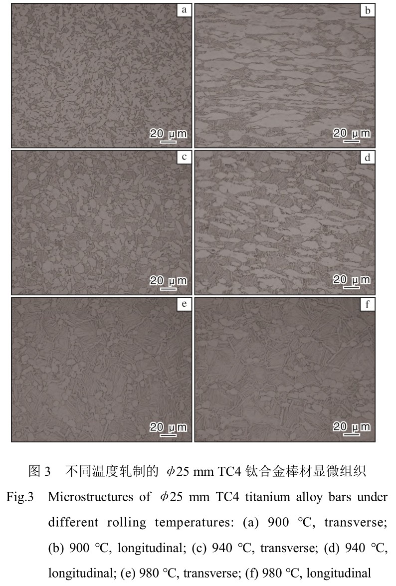 1713948868725310.jpg t3.jpg