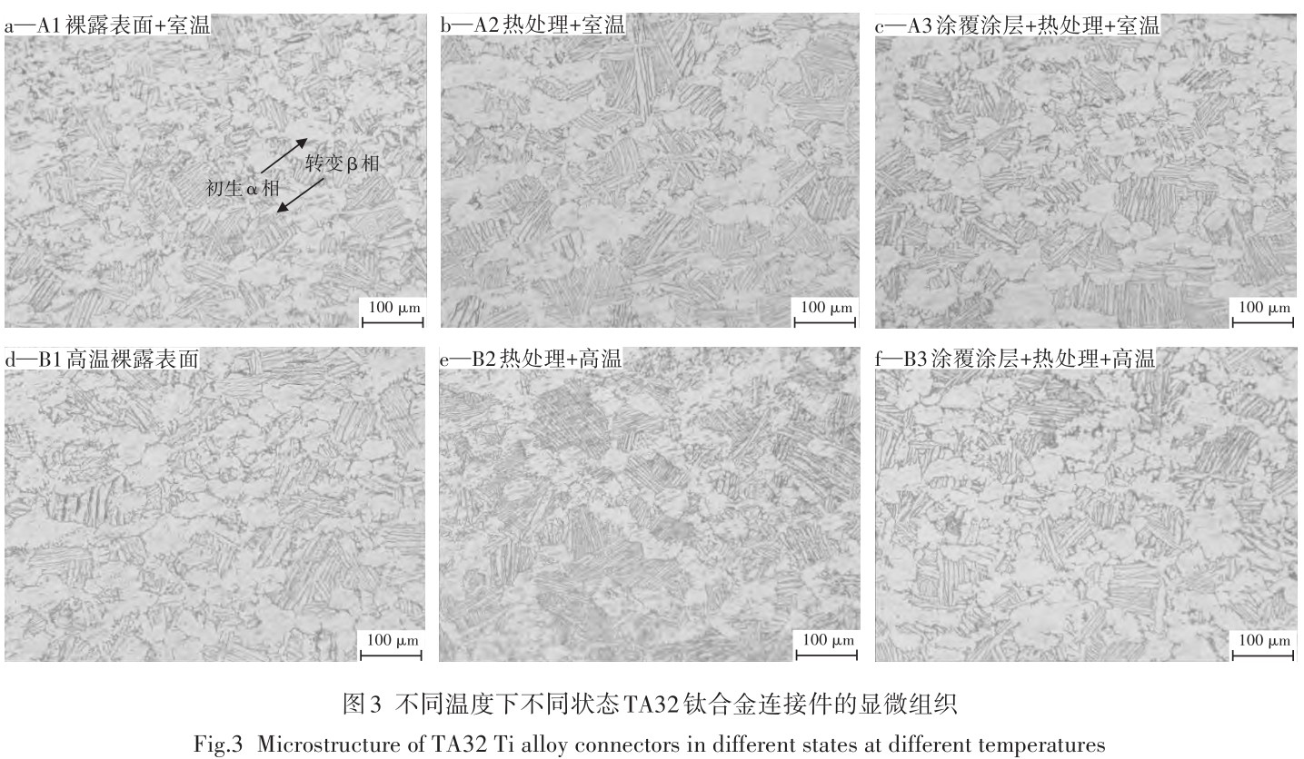 1713950896630101.jpg T3.jpg