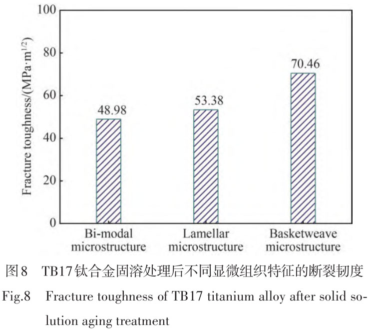 1716173790750980.jpg t8.jpg