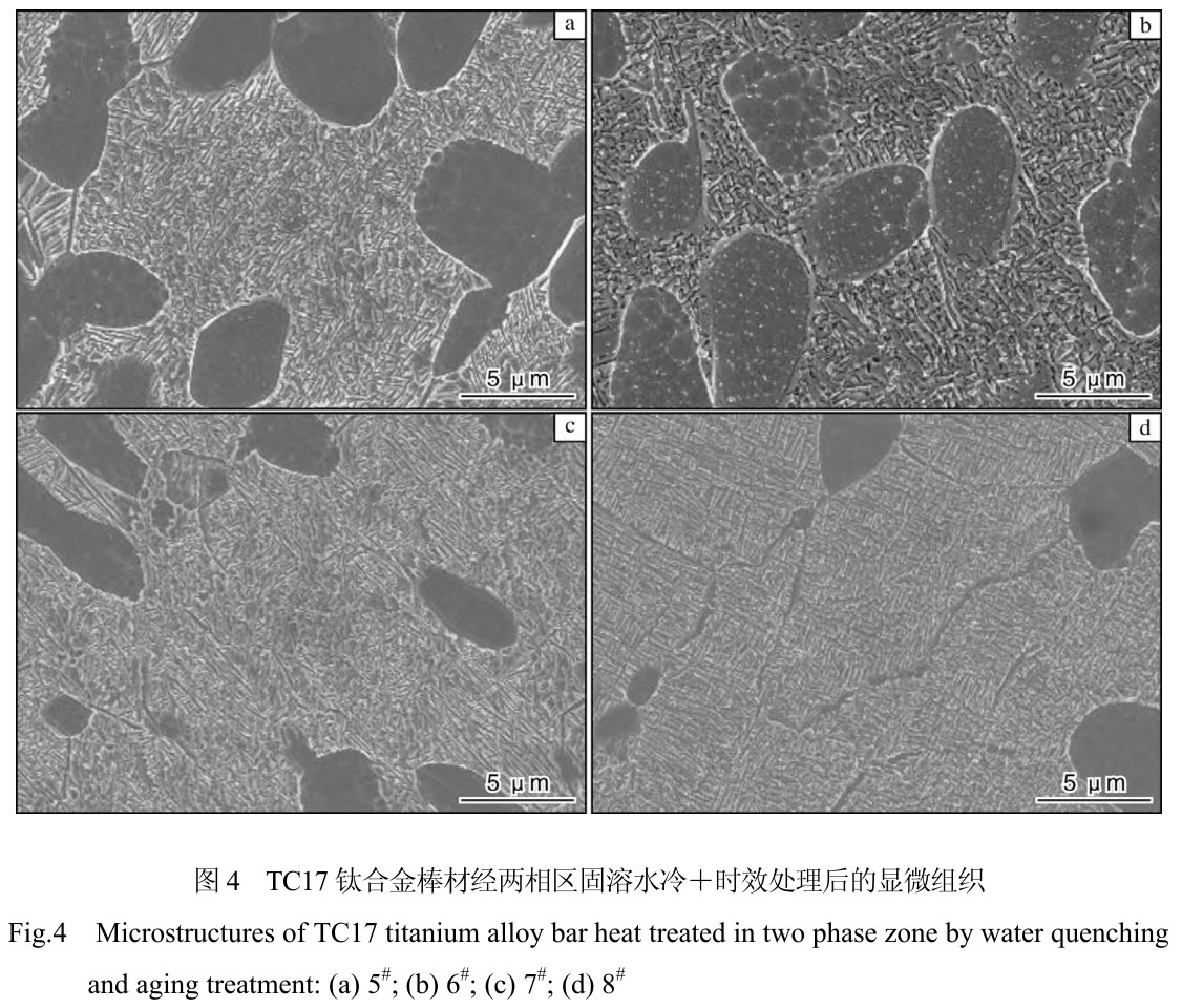 1719969470399385.jpg 4.jpg