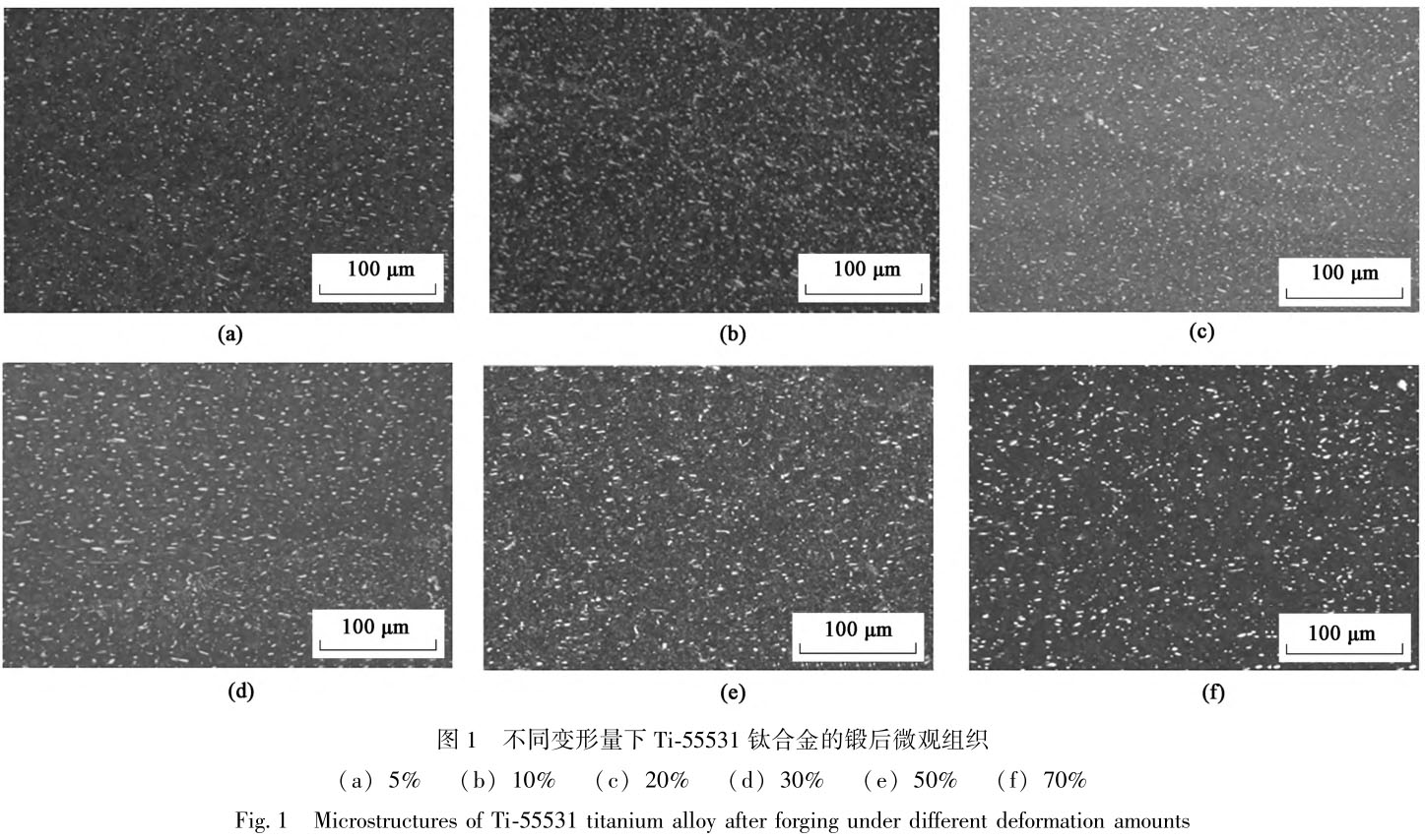 1721796248563282.jpg t1.jpg