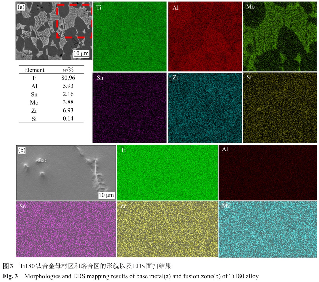 1723728884145578.jpg t3.jpg