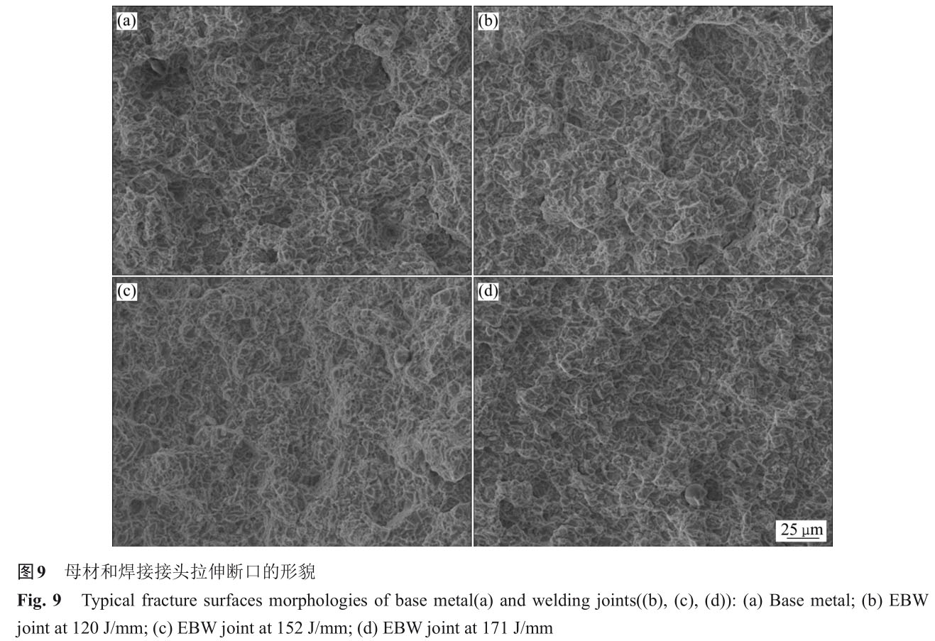 1723728936784556.jpg t9.jpg