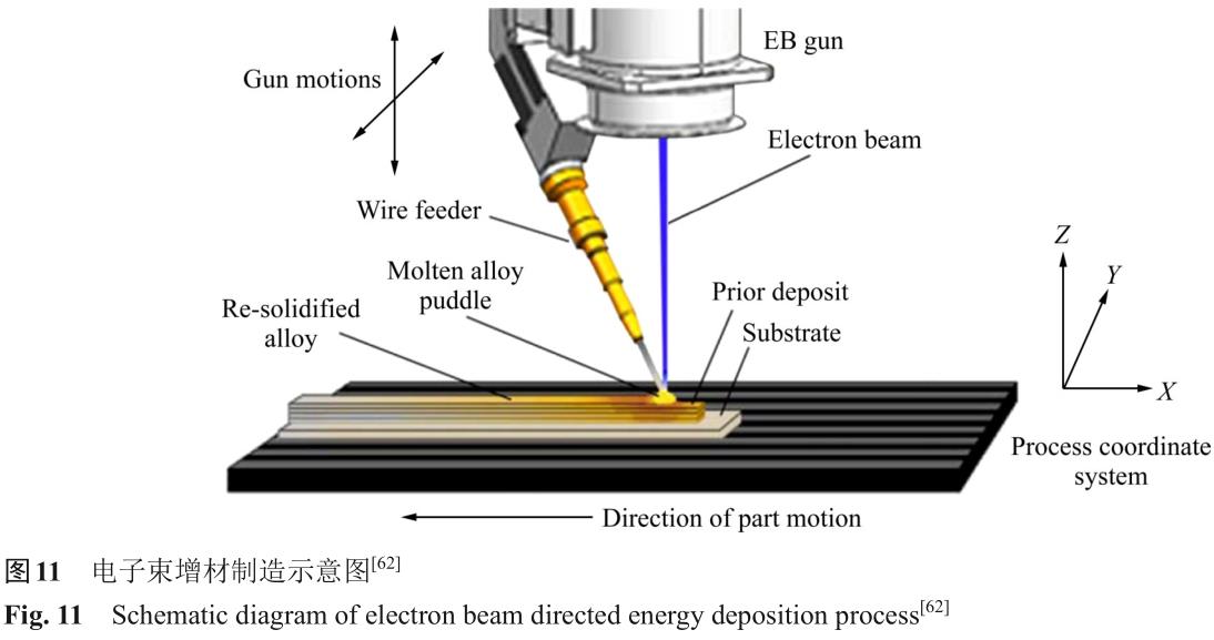 1724665100651042.jpg t11.jpg