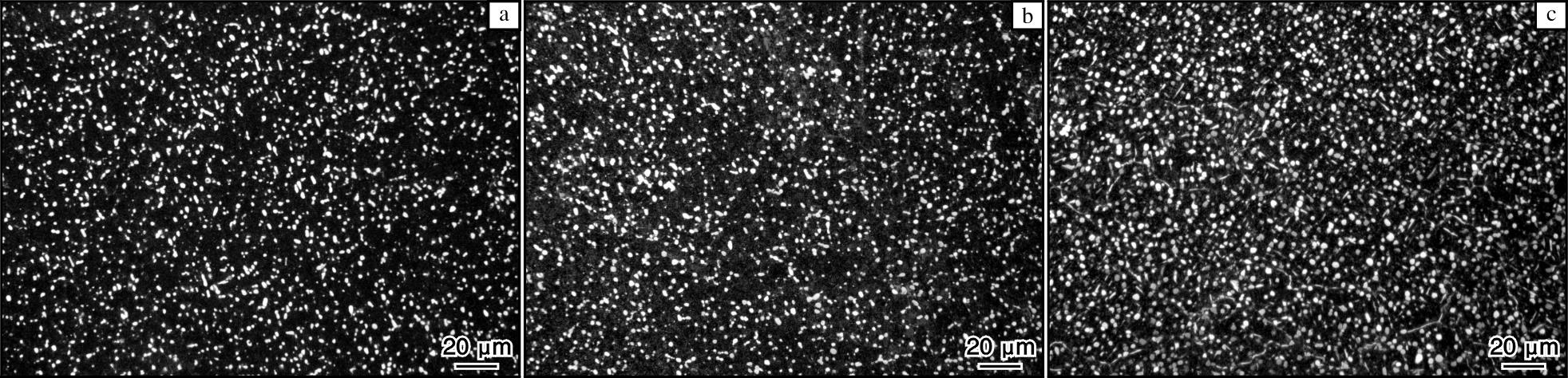 1725094385820052.jpg 3.jpg