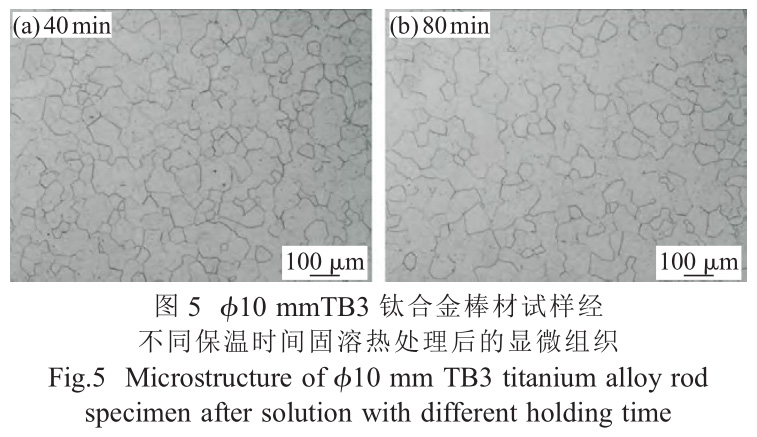 1726738230813197.jpg t5.jpg