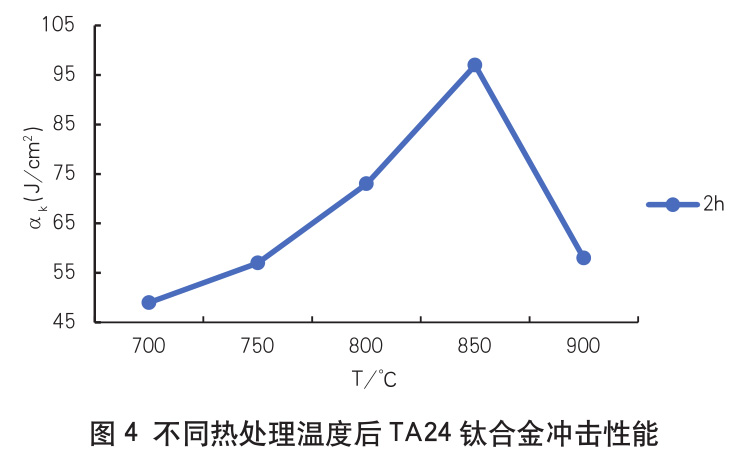 1727314044942756.jpg 4.jpg