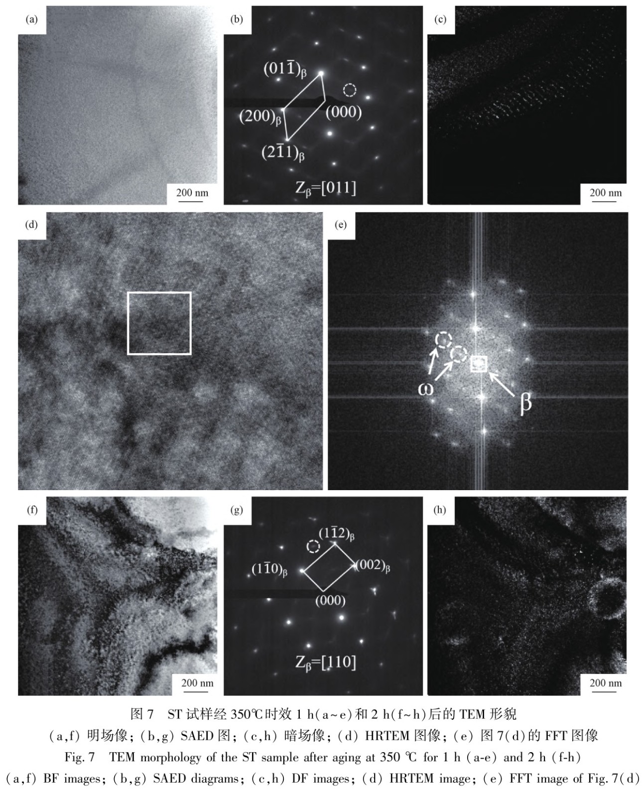 1728126519307940.jpg t7.jpg