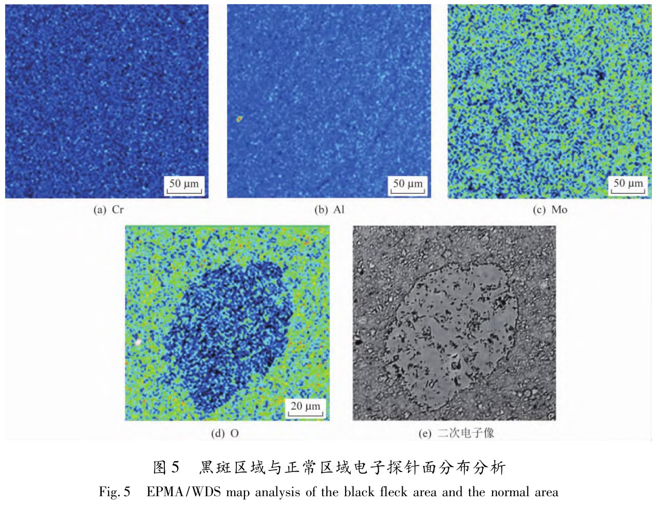 1730259084271664.jpg 5.jpg