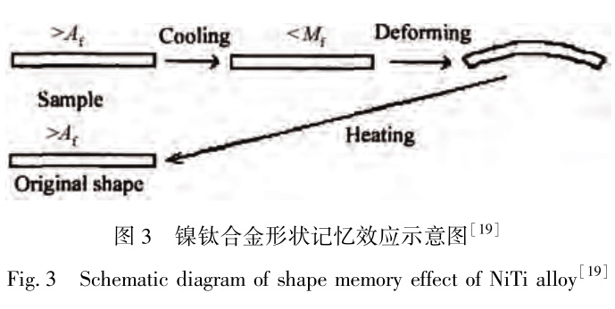 1733386571721702.jpg 3.jpg