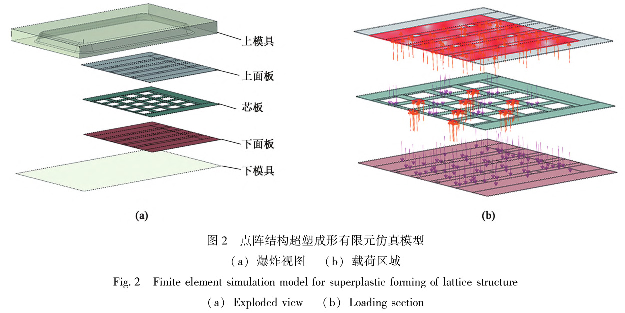 1735284108178841.jpg 2.jpg