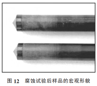 1735285594345950.png 截圖20241227154411.png