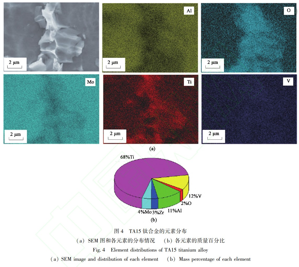 1739626443897174.jpg 4.jpg