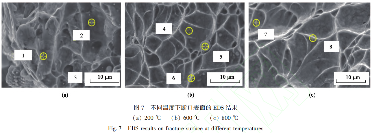 1739626479297169.png 7.png