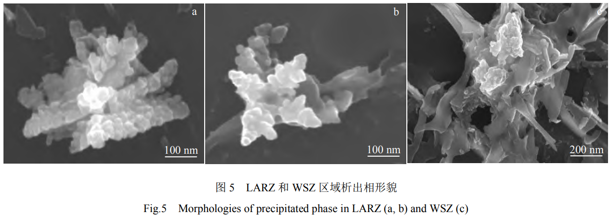 1739628348294347.png 5.png