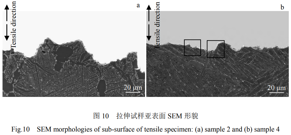 1739628413282024.png 10.png