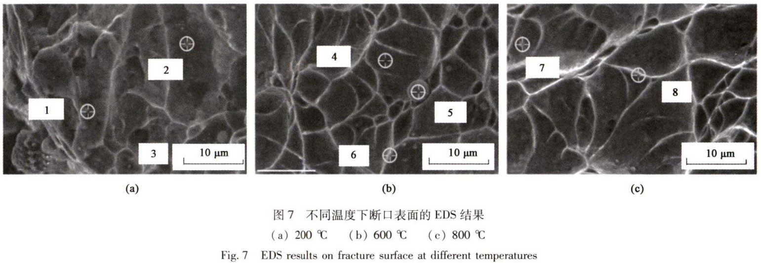 1747212776271573.png 7.png