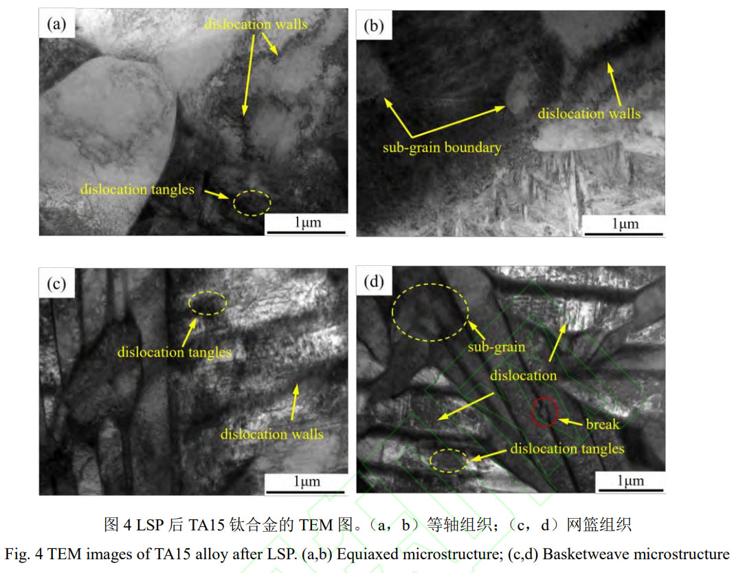 1756392516461658.jpg 未標題-4.jpg
