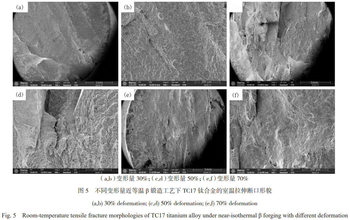 1768881248537654.png 5.png