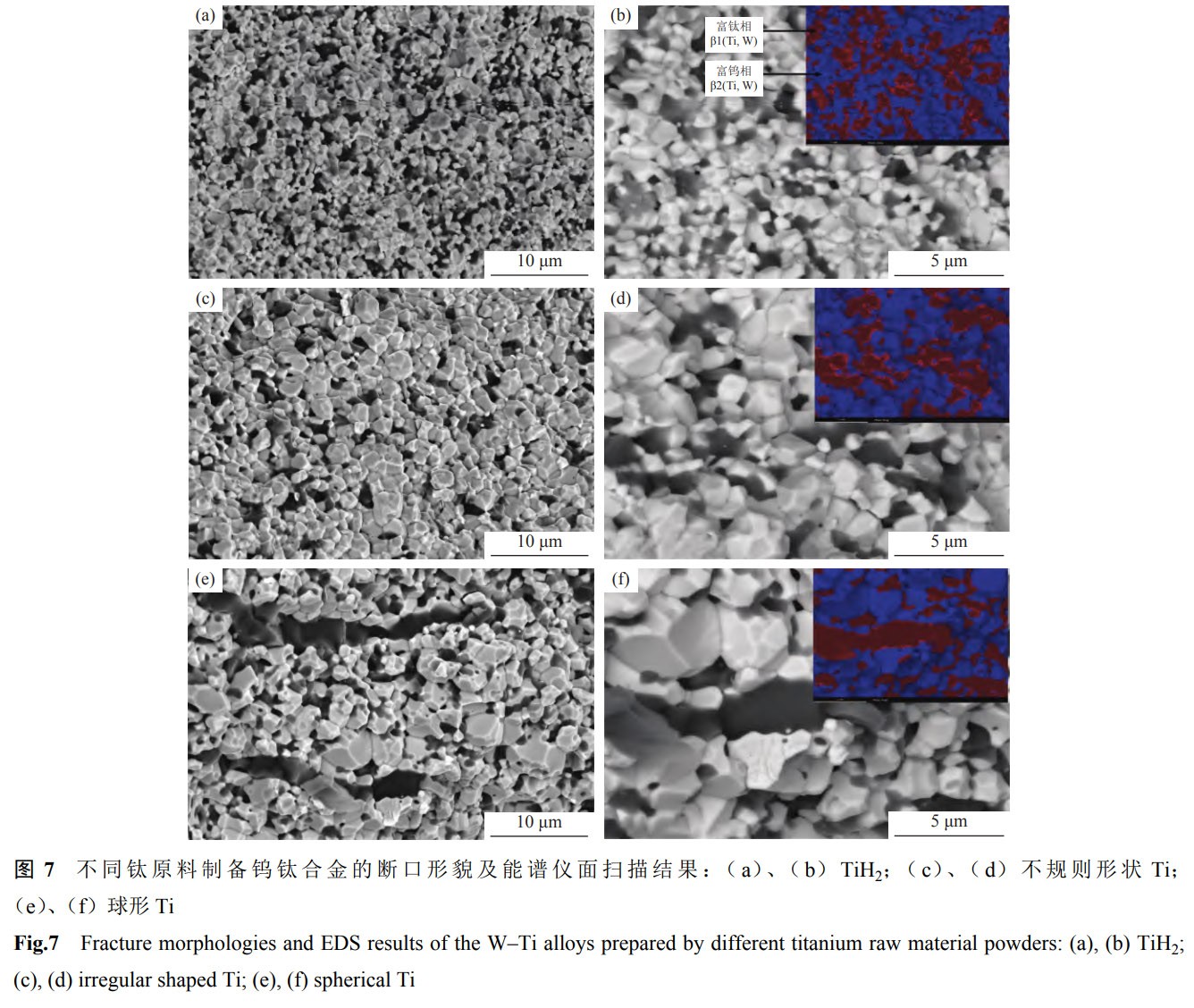 1768962741160779.jpg 7.jpg